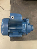 Pompa monofase Pedrollo PKm60 - USATO-5